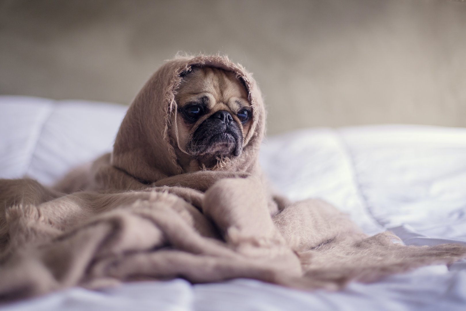 image Britons stockpile thermal underwear to fight rising heating bills