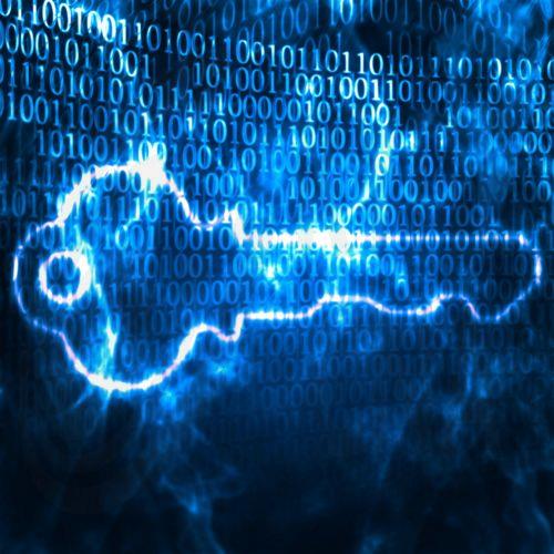 image MEPs in Cyprus on Predator spying mission