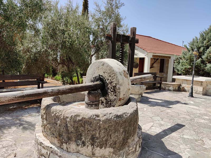 image Unearth the Cypriot passion within