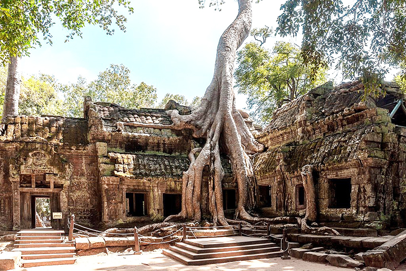 image What’s Eaten Where: Cambodia