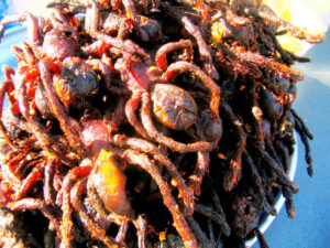 whats eaten2