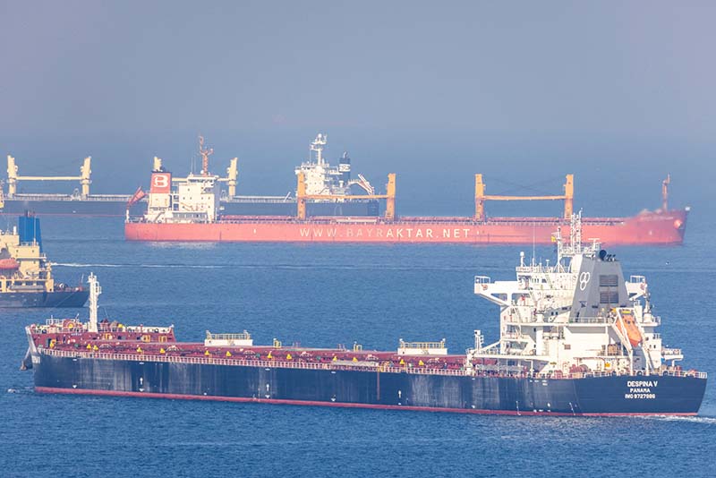 image Three new ships approved for Black Sea grain deal after Russia renewal