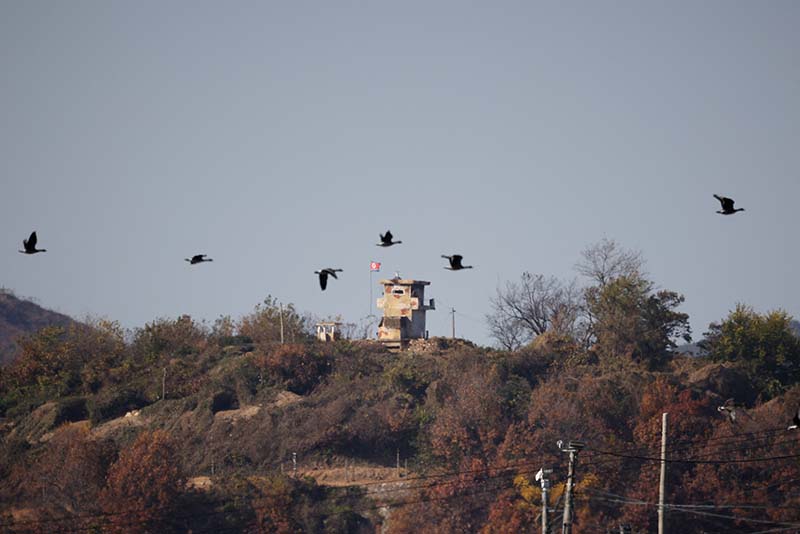 image Tensions between North and South Korea mount as North fires artillery into sea