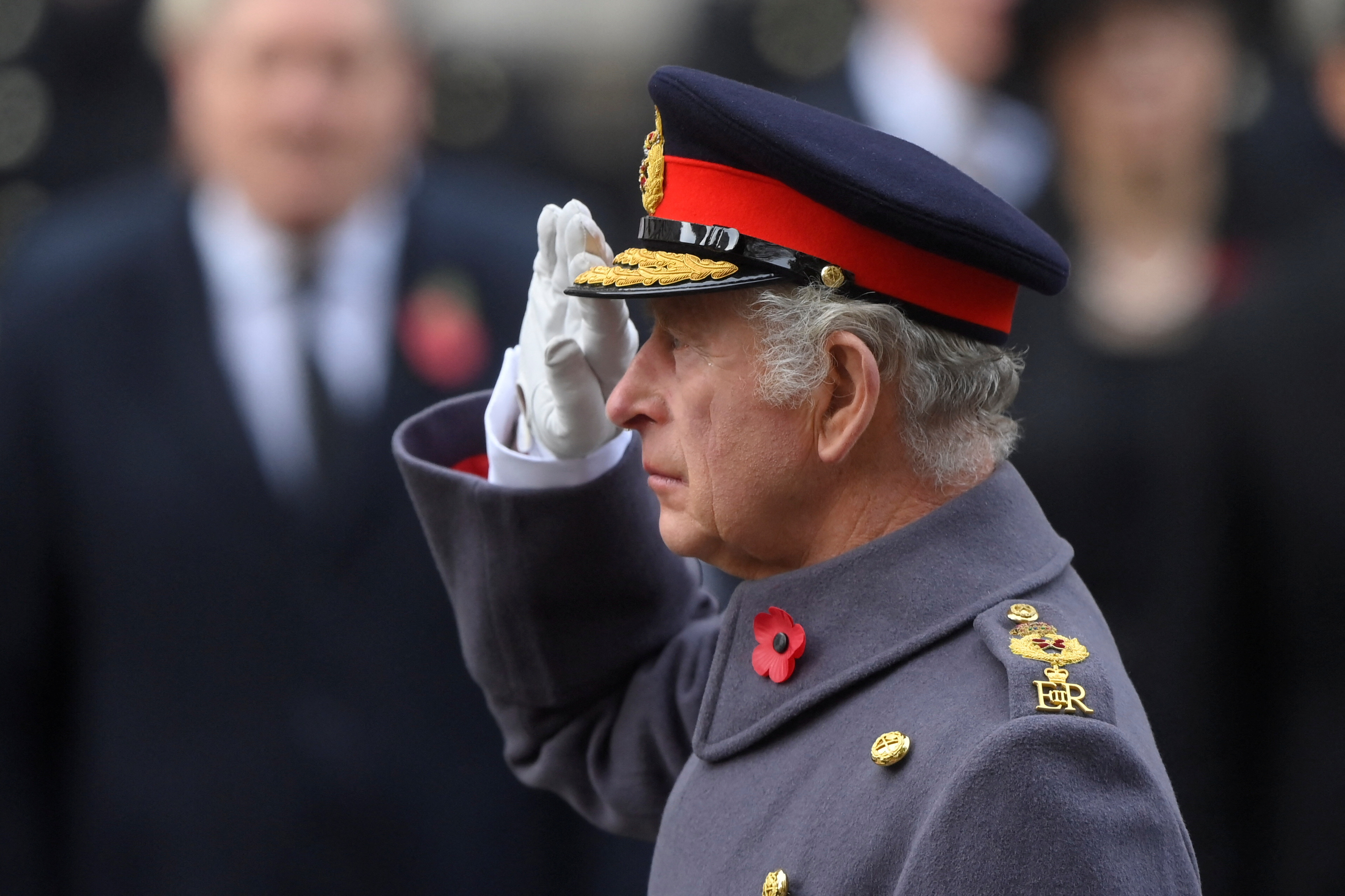 image King Charles celebrates 74th birthday with new role