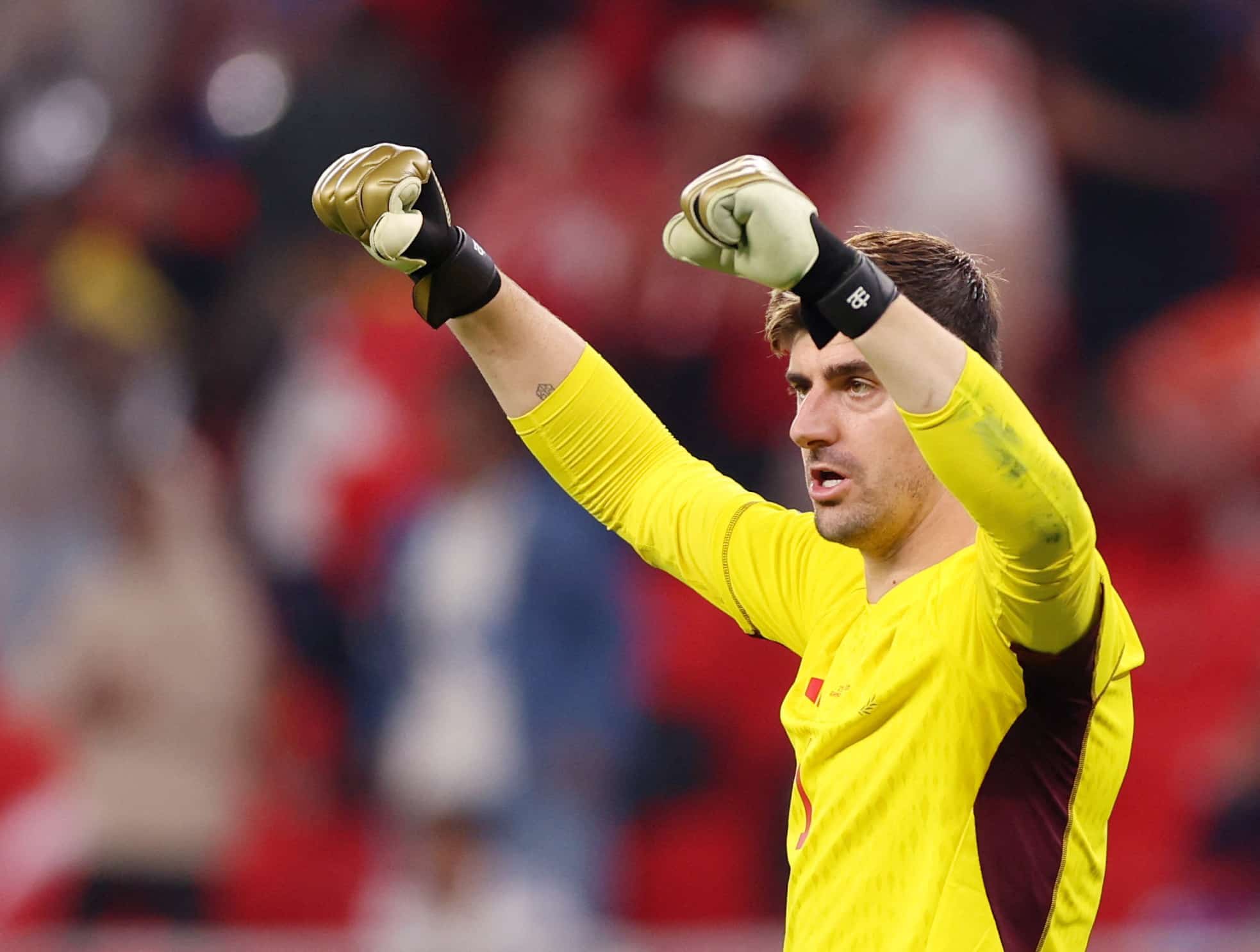 image Belgian keeper Courtois to miss out on Euro 2024