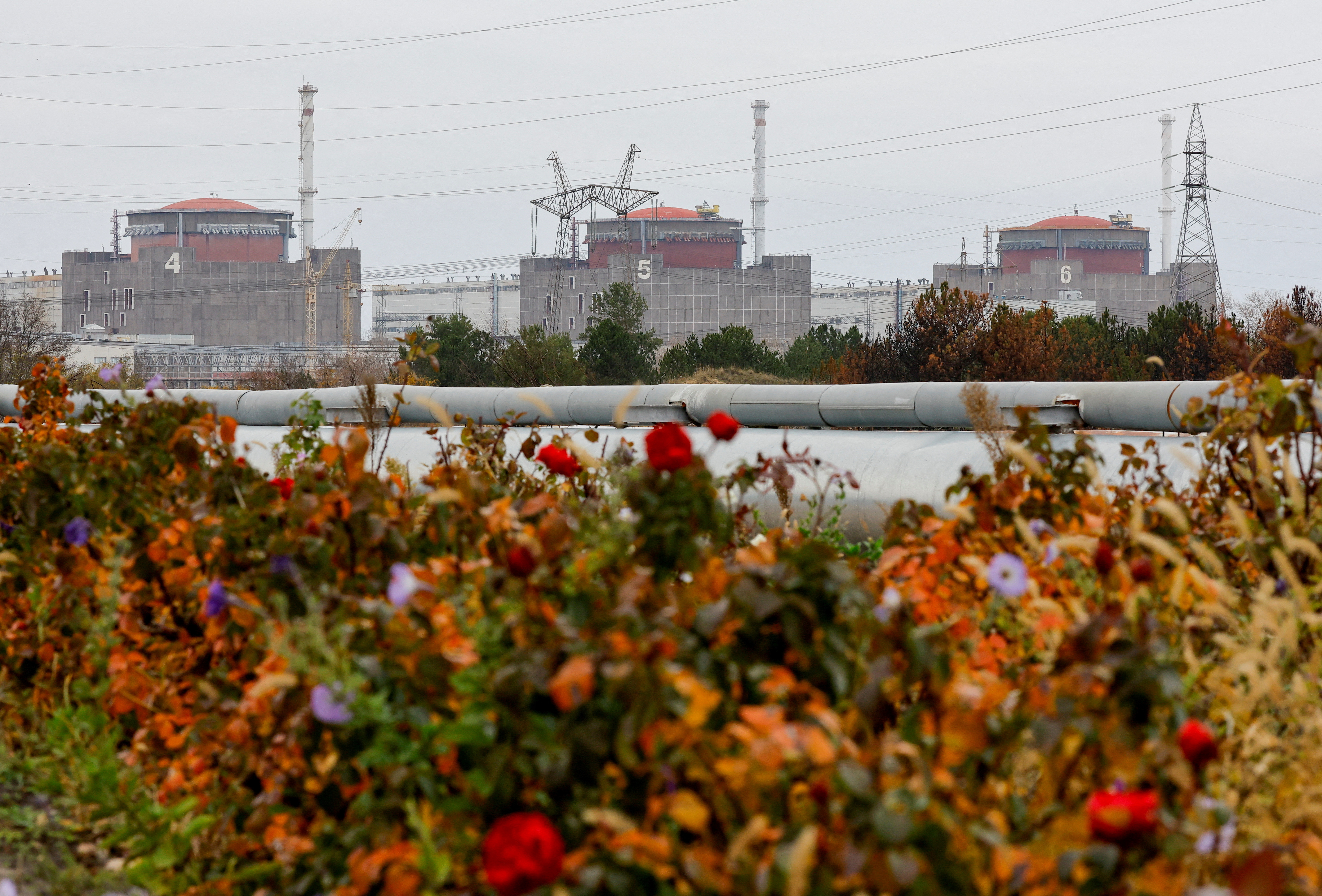 image Ukraine nuclear boss says he sees signs Russia may leave occupied plant