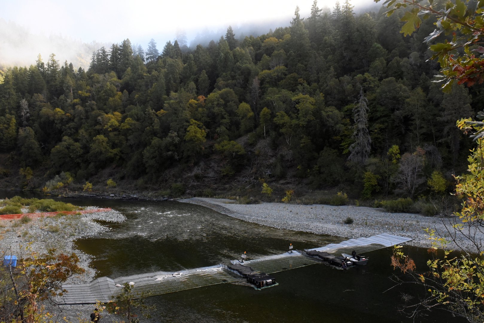 image To save salmon, US approves largest dam removal in history