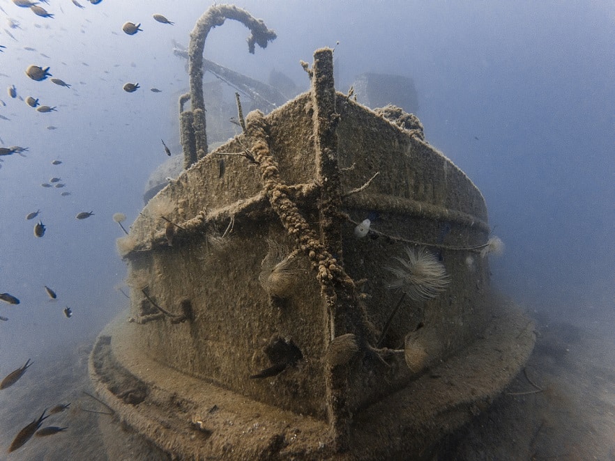 image Limassol Tourism Board offers unique workshops, dive routes