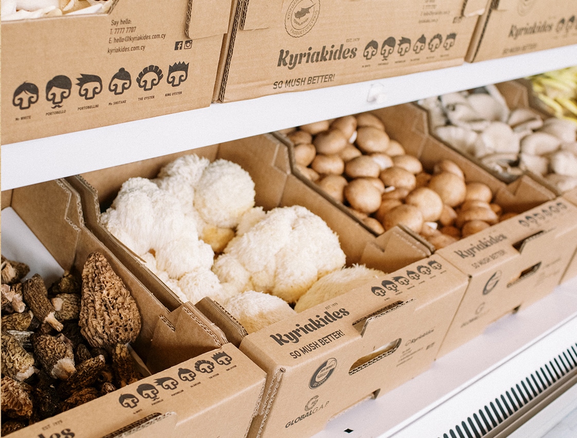 image Record breaking mushroom cooking event to be held in Spilia