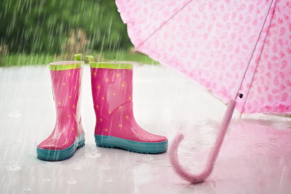 image Umbrellas at the ready as rain forecast till Saturday