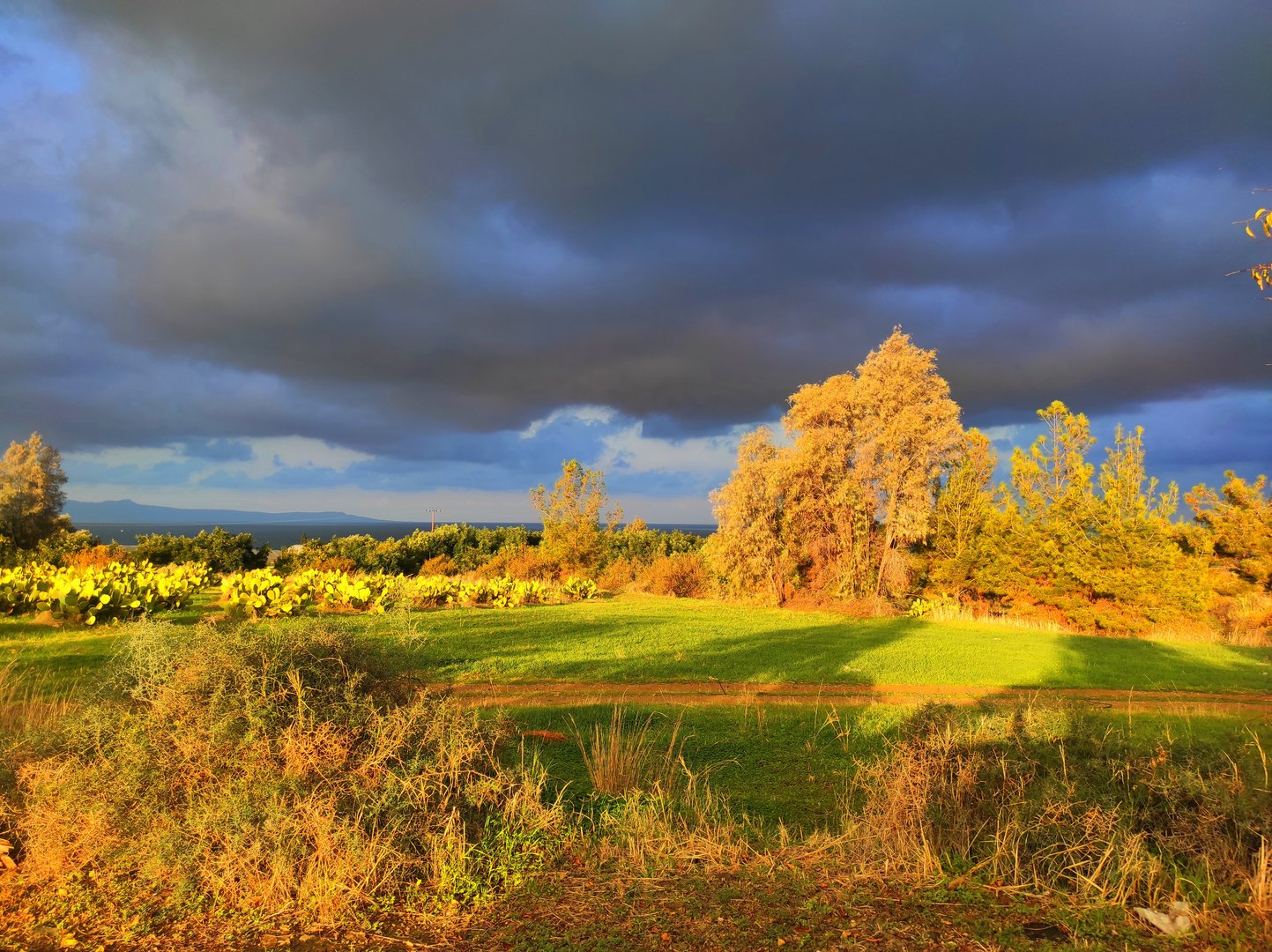 image Today&#8217;s weather: Rainy and windy