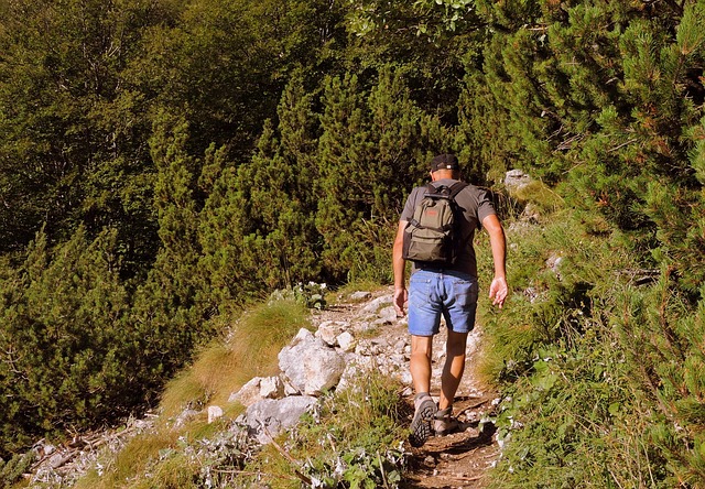 image Our View: Nature trails should be properly looked after