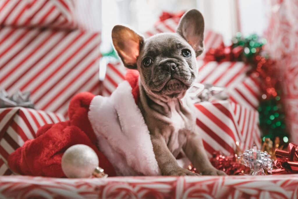 jakob owens mpnqu9o4b9w unsplash