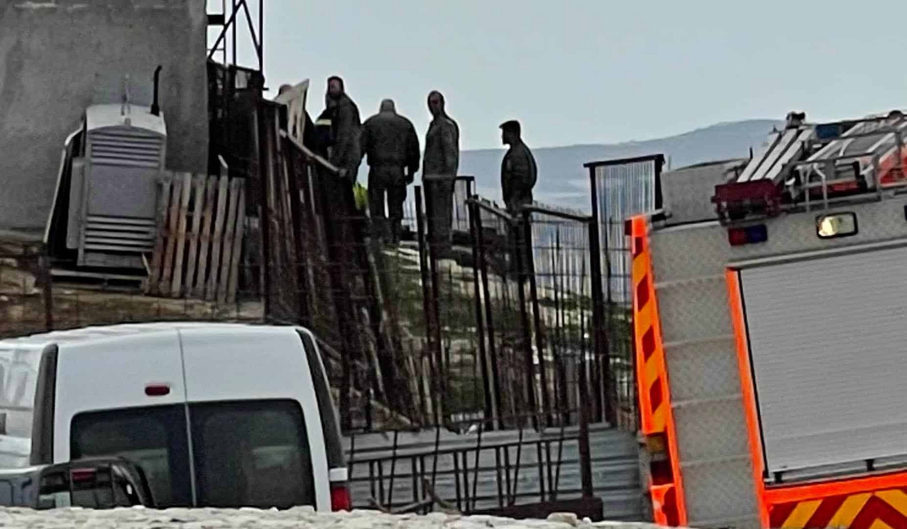 image Dogs found in farm pit