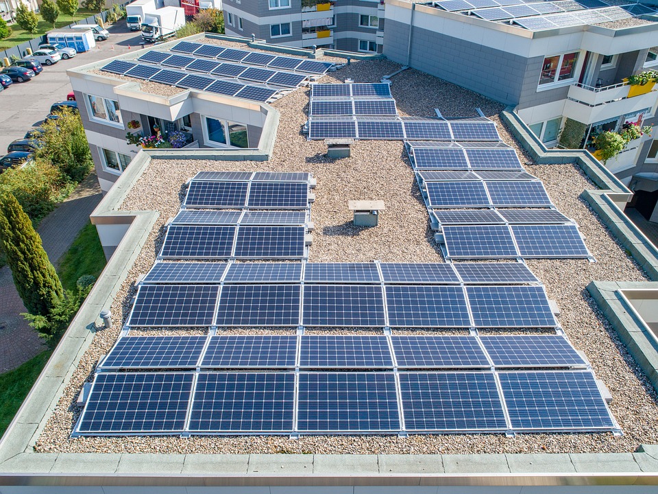 image ‘We’ll end up eating solar panels’