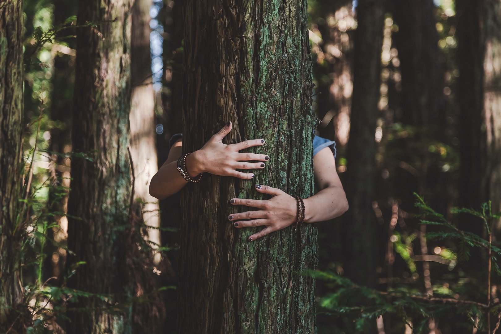 image Forest bathing event in Limassol aims to inspire human reconnection