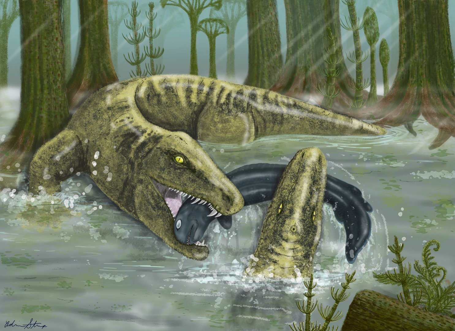 image Prehistoric &#8216;wonderfully weird beast&#8217; Whatcheeria grew big quickly