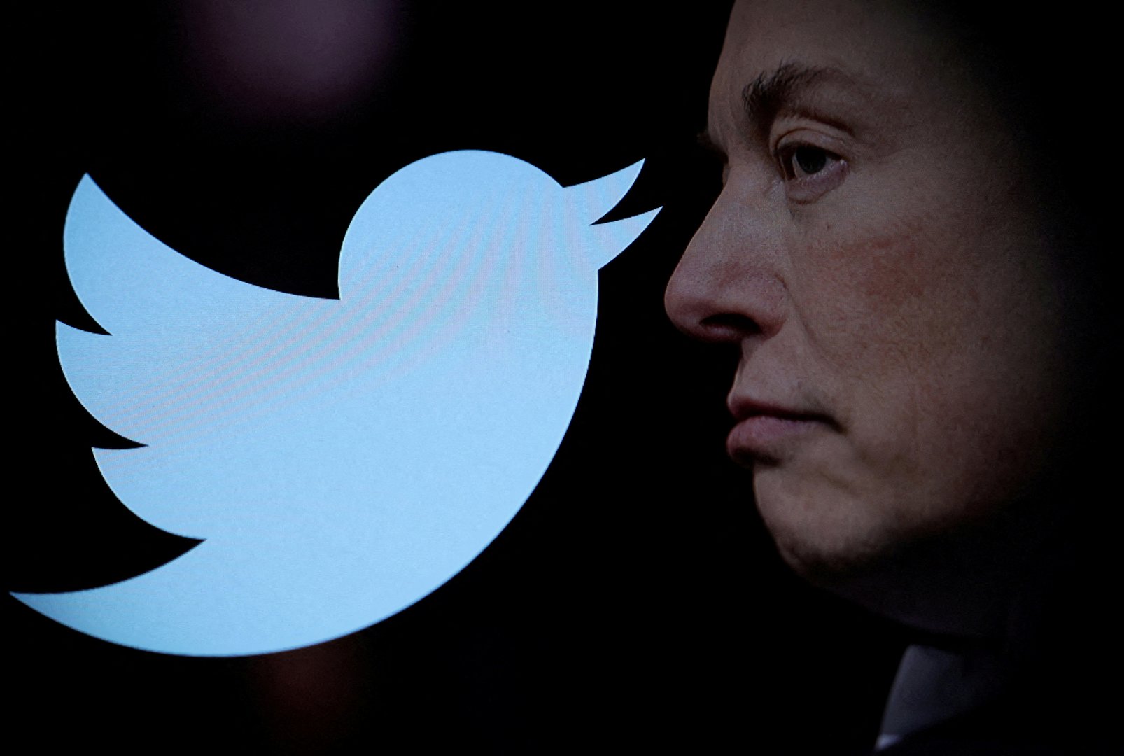 image Twitter’s top global policy official departs as layoffs continue
