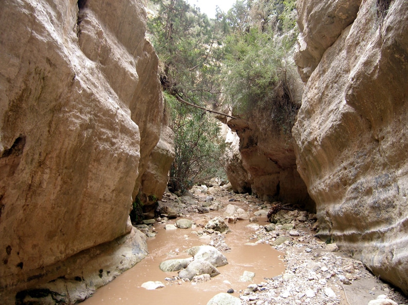 image Avakas gorge trail closed due to heavy rain