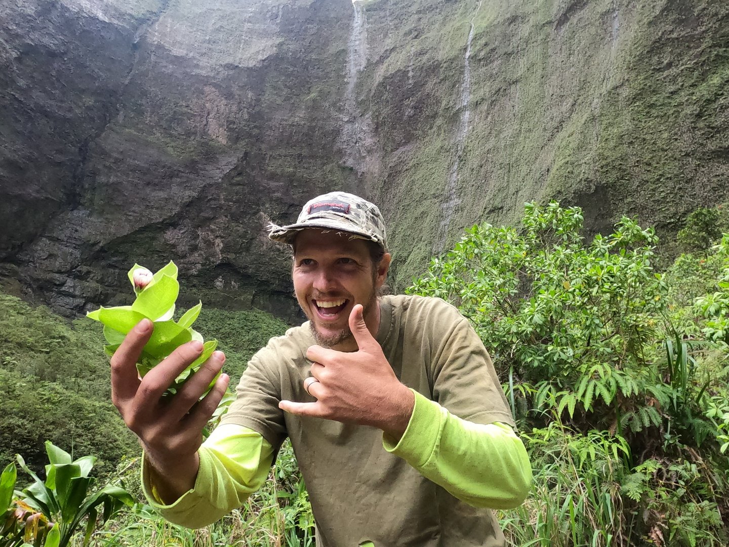 image How daredevil drones find nearly extinct plants hiding in cliffs