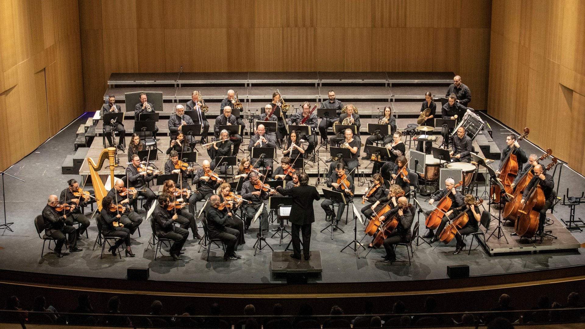 image The Cyprus Symphony Orchestra goes festive