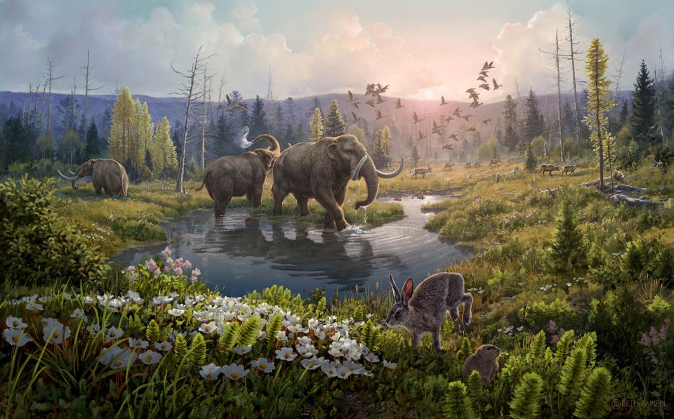 image Oldest DNA on record &#8211; 2 million years &#8211; reveals Greenland&#8217;s lost world