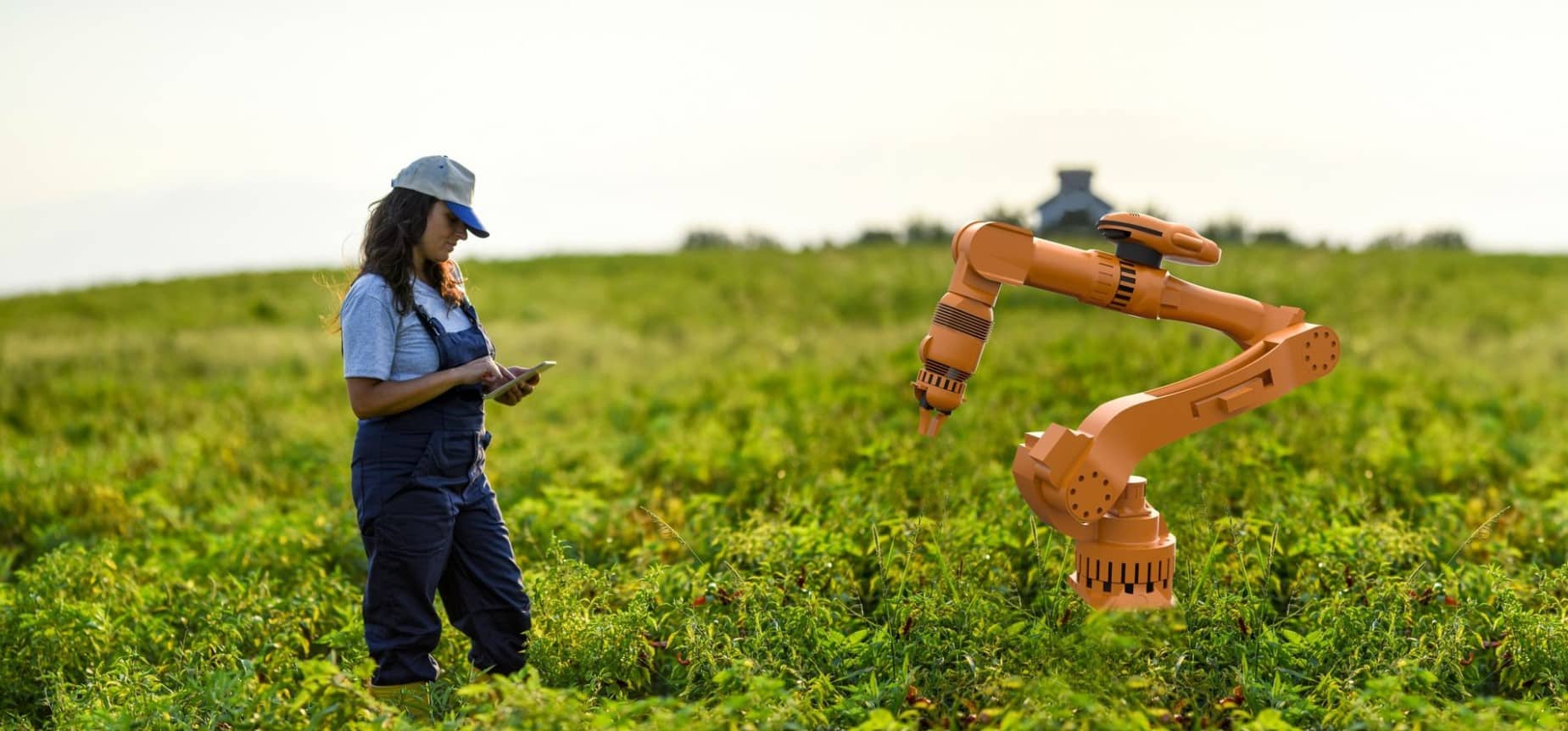 image Futuristic fields: Europe’s farm industry on cusp of robot revolution