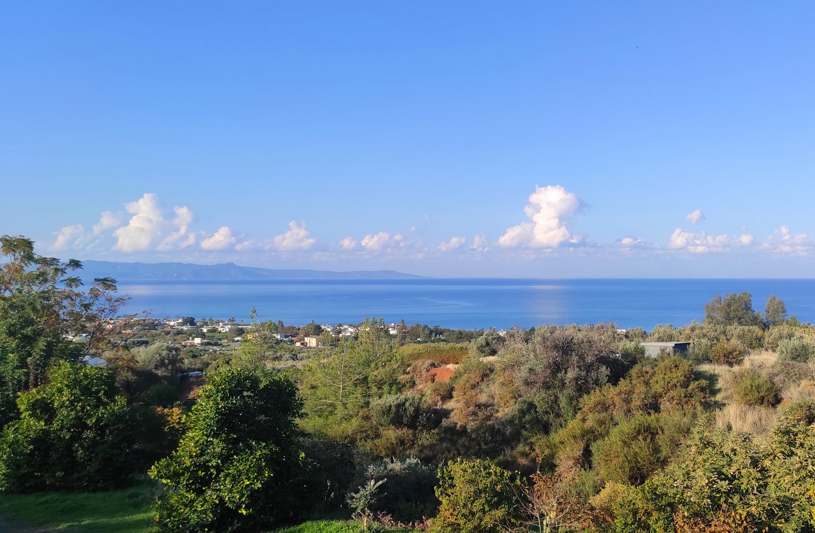 image Today&#8217;s weather: mostly clear