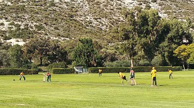 image Nicosia Tigers, Punjab Lions and Bazigar reach Cyprus T20 quarter-finals