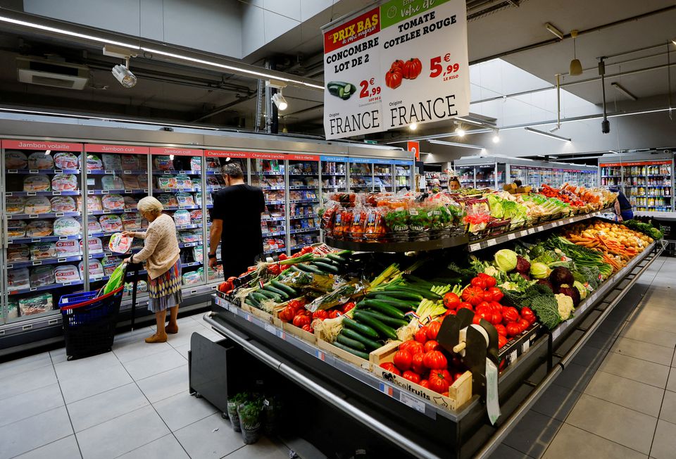 image Euro zone likely heading into mild recession
