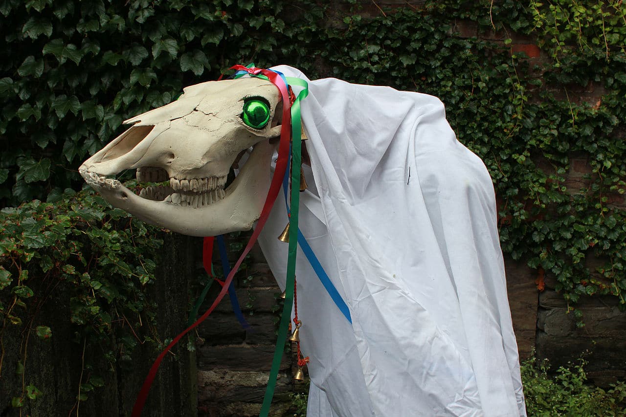 image Tis the season to be jolly – or terrified