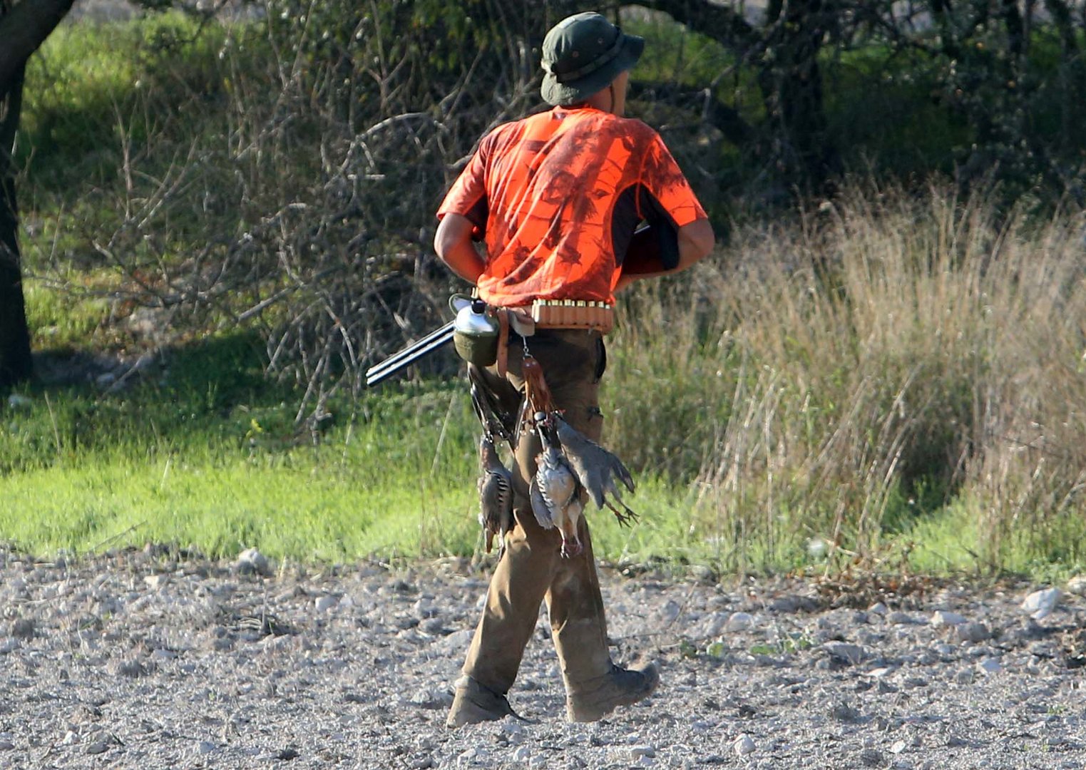image Animal Party calls for stricter gun control