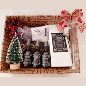 the christmas gift box 1