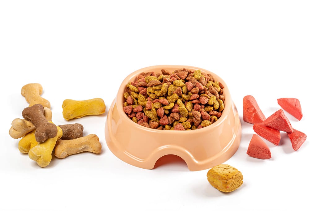 image Animal Party collects pet food for Christmas distribution