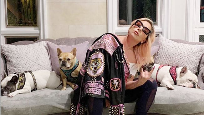 image Man who shot Lady Gaga&#8217;s dog walker in pet theft sentenced to 21 years