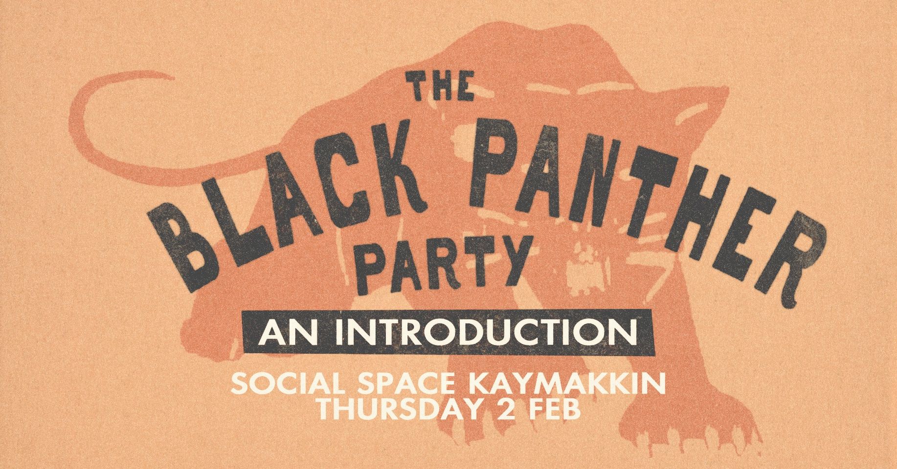 image Social Space Kaymakkin holding talk on The Black Panther Party