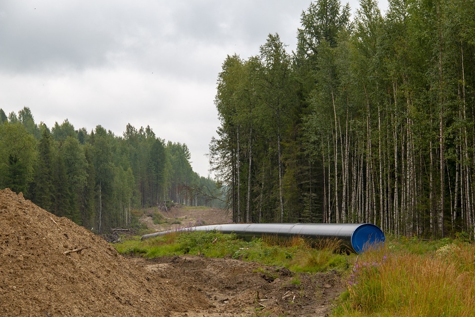 image Polish pipeline operator PERN says leak detected in Druzhba oil pipeline