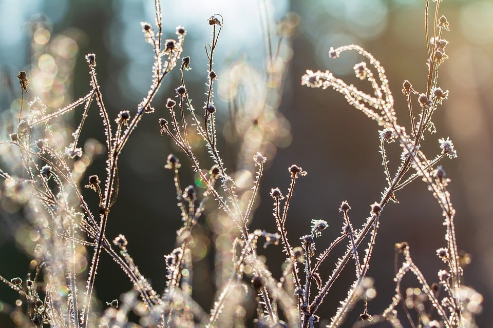 image Today&#8217;s Weather: Sunny to start, cold spell moving in