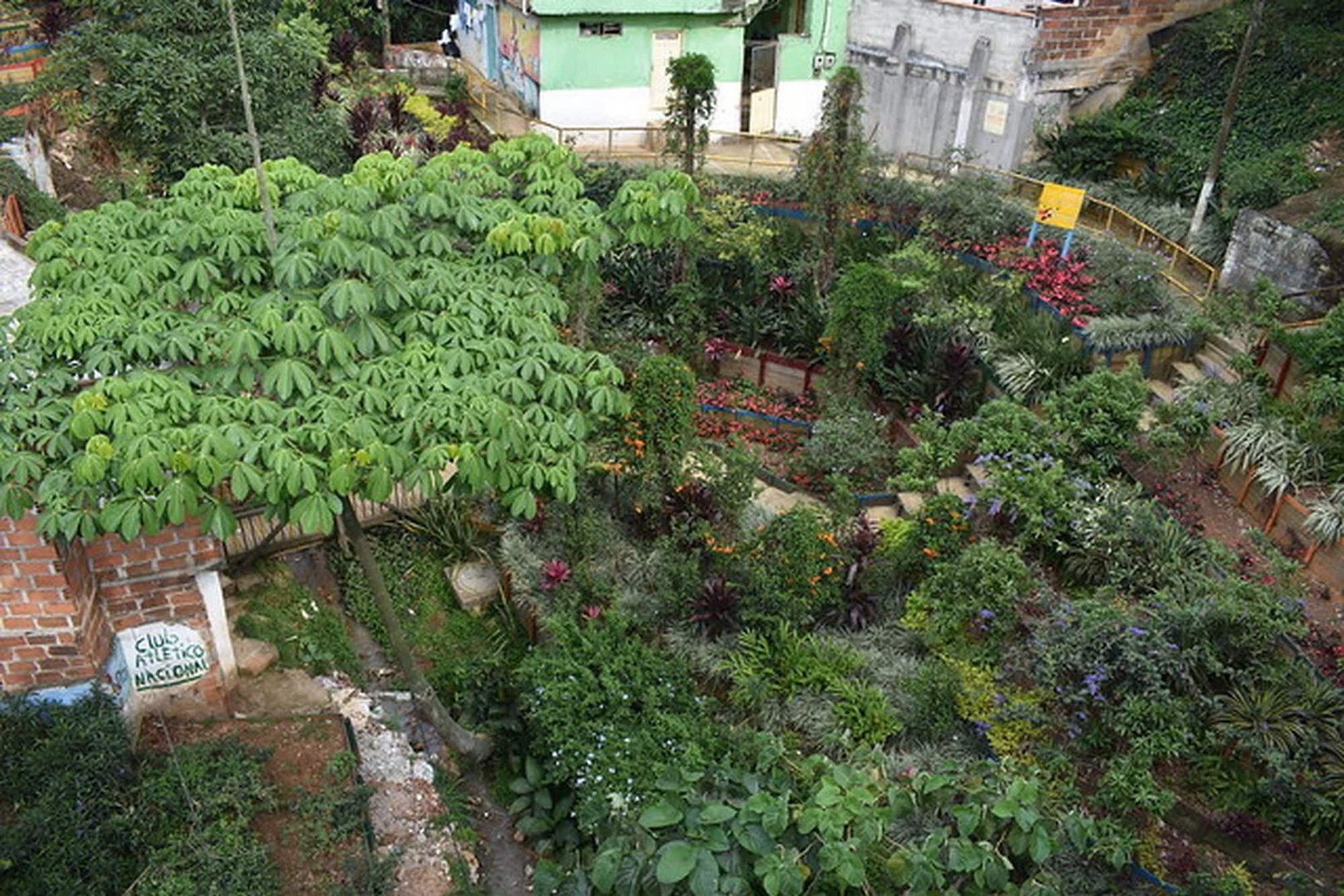image As heatwaves and floods hit cities worldwide, these places are pioneering solutions