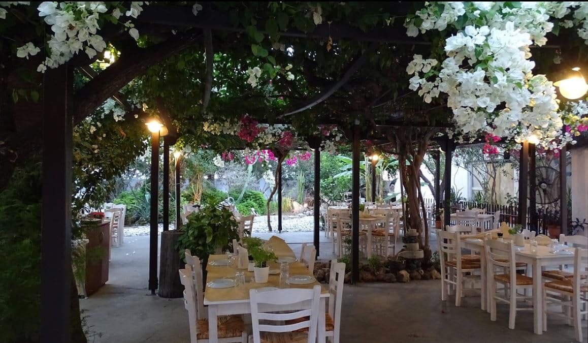 image Restaurant review: Ithaki Garden Restaurant, Larnaca