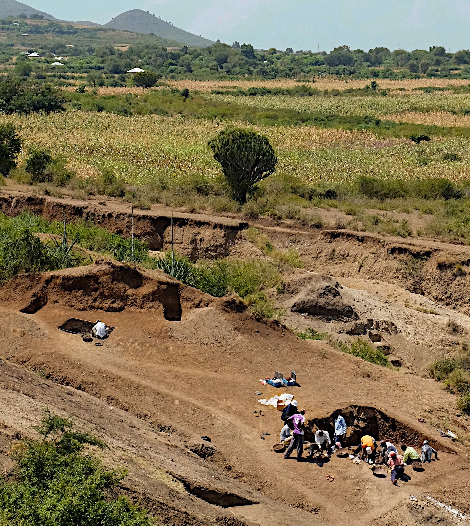image &#8216;Whodunit&#8217; mystery arises over trove of prehistoric Kenyan stone tools