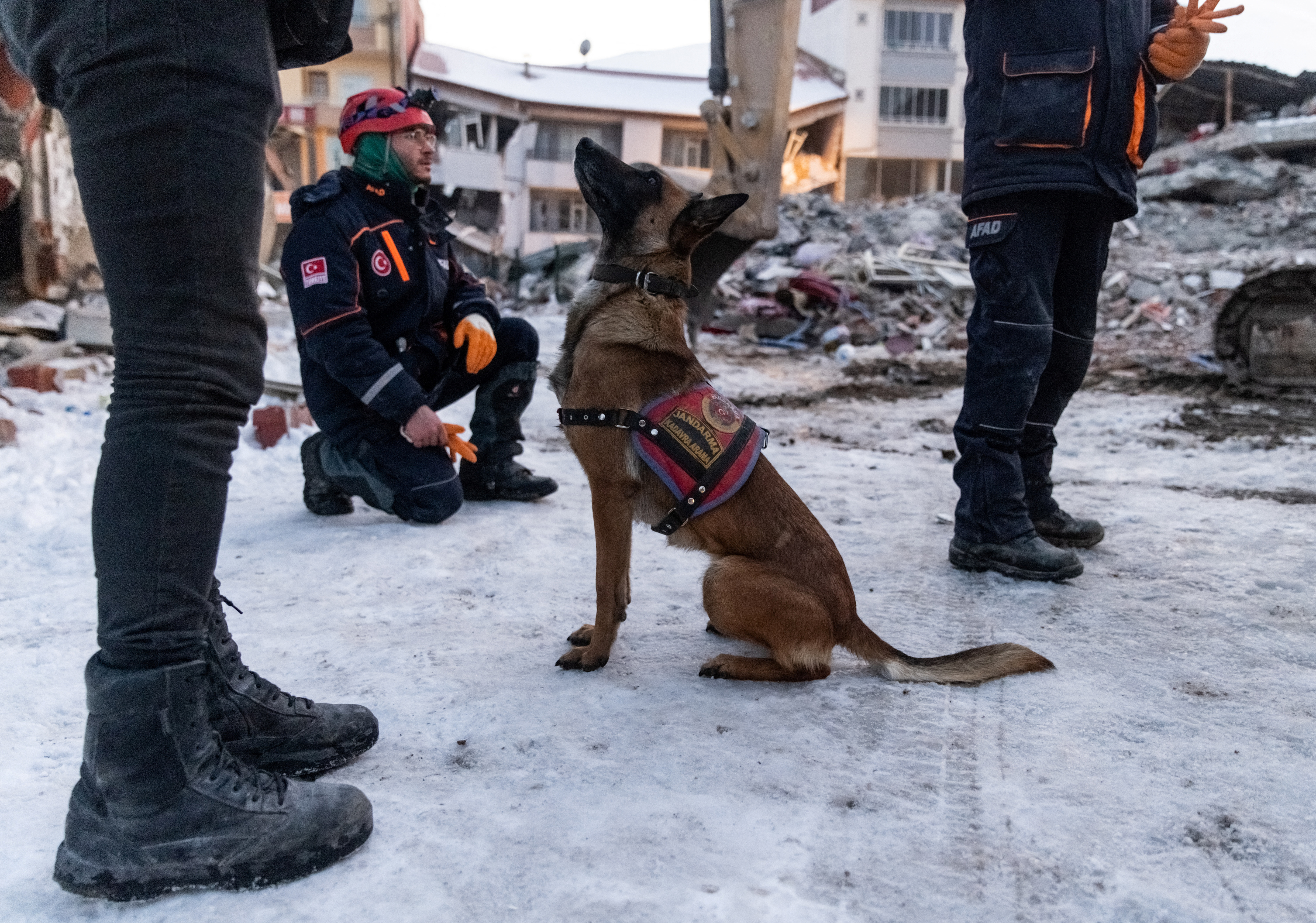 image Turkey&#8217;s Erdogan vows to rebuild after quake, rescue work winds down