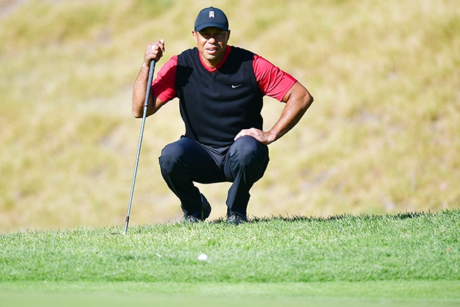 image Tiger says &#8216;headed in right direction&#8217;