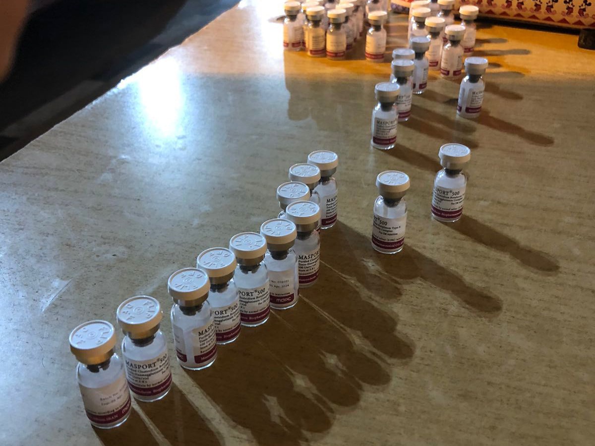 image Attempted Botox smuggler foiled at crossing point