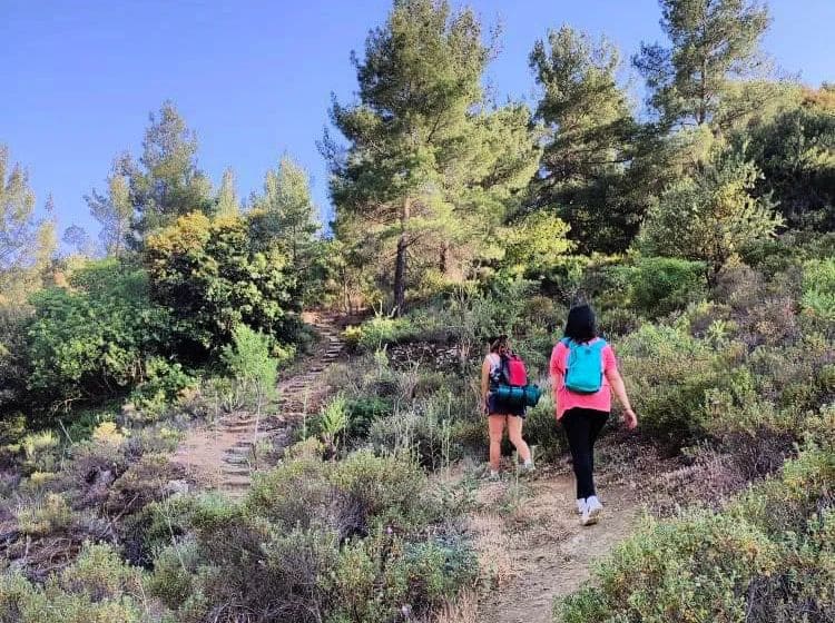 image Forestry department urges caution amidst recent wildfires