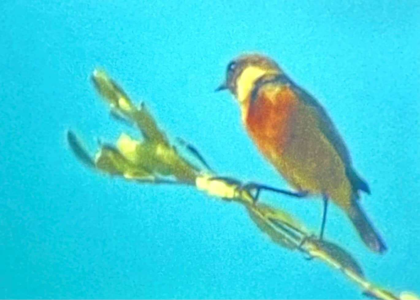 image Workshop at SPEL encourages adults to slow down