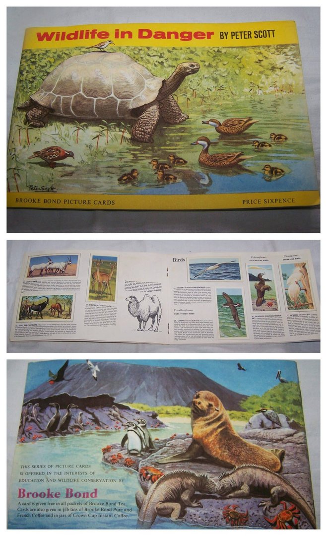 wildlife in danger by peter scott