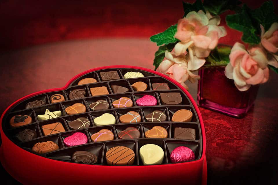 image The impact of Valentine&#8217;s Day on the environment