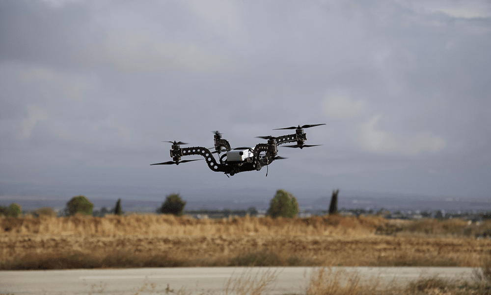 cyprus seeds drone