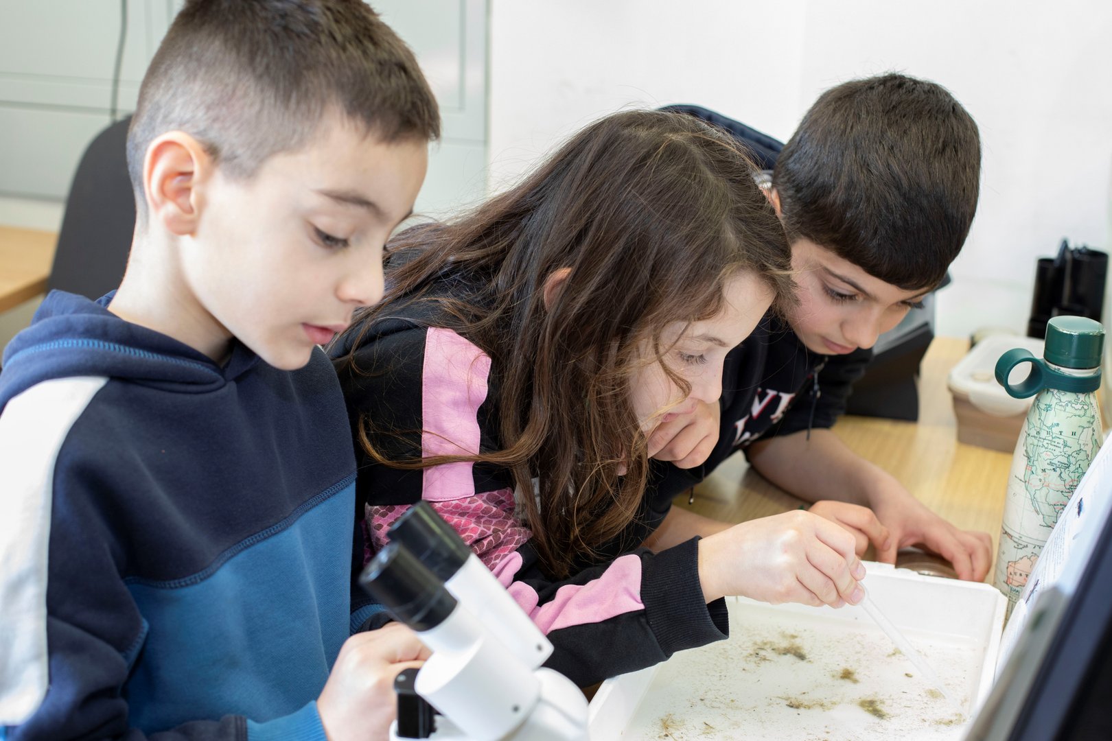 image Enviro Centre marks World Wetlands Day 